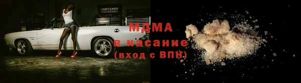 дживик Ельня