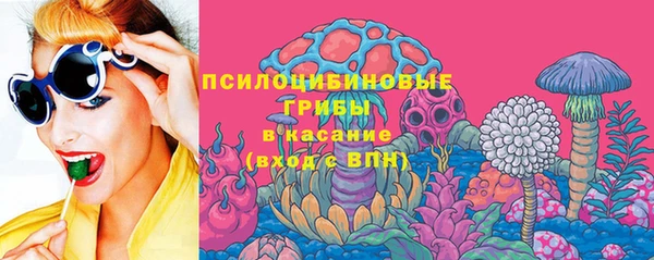 винт Арсеньев