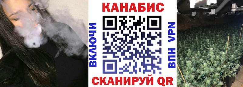 Каннабис сатива где найти наркотики Удачный